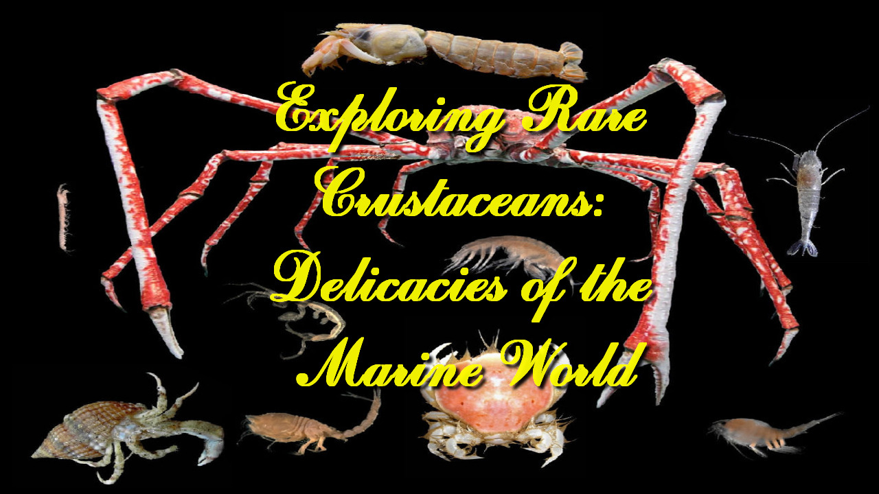 Exploring Rare Crustaceans: Delicacies of the Marine World